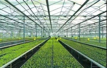 关于青少年足球培训基地建设迈上新台阶的信息